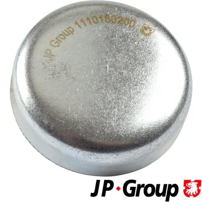 Frost Plug